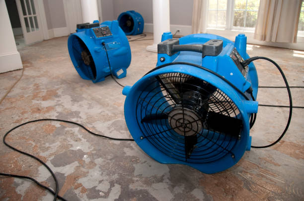 Best Sewage cleanup and water damage restoration  in New Philadelphia, OH