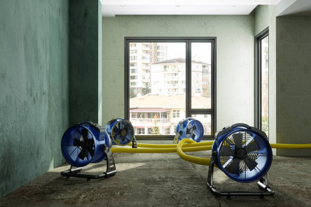 Water damage restoration process in New Philadelphia, OH